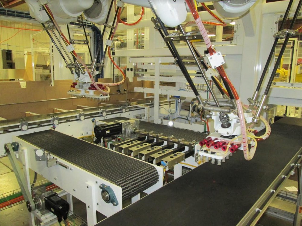 Multi-Robot Case Packing Line